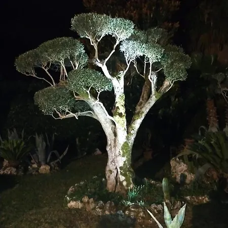Il Giardino Di Eolo