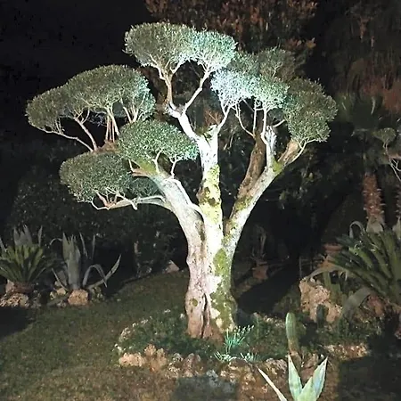 فندق مبيت وإفطار Il Giardino Di Eolo 4*